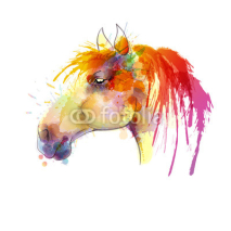 Fototapety Horse head watercolor painting
