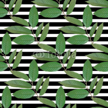 Fototapety Realistic branch with tropical leaves. Vector illustration EPS