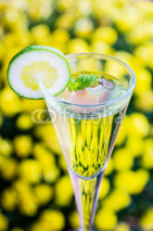 Obrazy i plakaty yellow cocktail with a slice of lime
