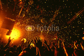 Obrazy i plakaty night club party festival dj with crowd of people