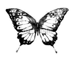 Fototapety butterfly,watercolor design