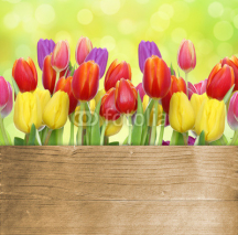 Naklejki Tulpen mit Holztafel