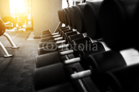 Obrazy i plakaty Metal dumbbells lying on gym fitness club