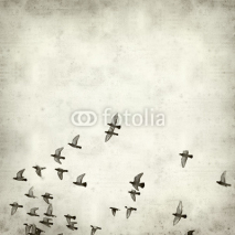 Fototapety Lecące gołębie na tle starego papieru