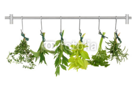 Naklejki Herb Leaves Drying