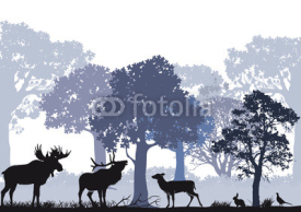 Obrazy i plakaty Rotwild mit Elch im Wald