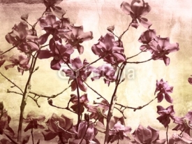 Naklejki Artistic background with magnolia