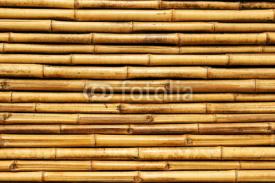 Fototapety bamboo fence
