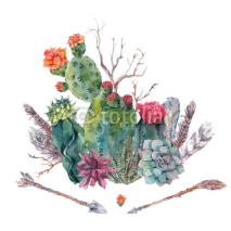 Watercolor cactus, succulent, flowers