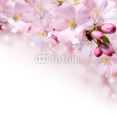 Spring flowers design border background