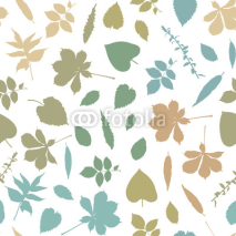 Fototapety Colorful leaf silhouettes seamless