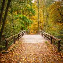 Naklejki Bridge in autumn forest