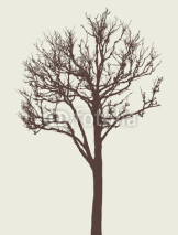 Naklejki silhouette of a tree
