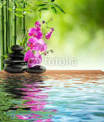 pink orchid black stone and bamboo on water