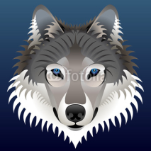 Fototapety Realistic wolf's face. Vector wolf head front view