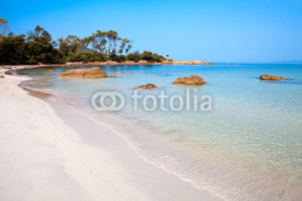 Obrazy i plakaty Paysage de Corse, plage à Ajaccio