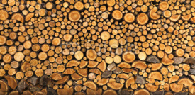 Obrazy i plakaty BACKGROUND OF DRY CHOPPED FIRE WOOD LOGS IN A PILE
