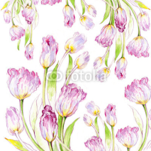 Fototapety watercolor tulips
