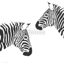Naklejki Vector zebra