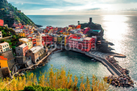 Aerial view of Vernazza