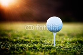Obrazy i plakaty Golf