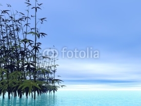 Obrazy i plakaty Bamboos - 3D render