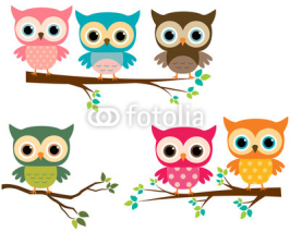 Naklejki Vector Collection of Cute Cartoon Owls and Tree Branches