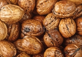 Obrazy i plakaty background of wet walnuts