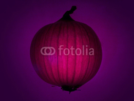 Obrazy i plakaty purple onion