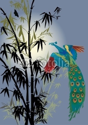bamboo and peacock illustration