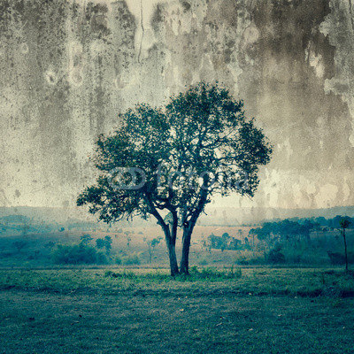 A single tree represent loneliness and sadness