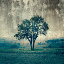 Fototapety A single tree represent loneliness and sadness
