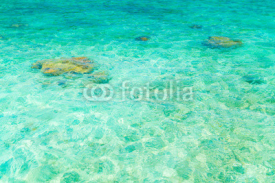 Top view of the sea with the coral reefs at Maldives island .