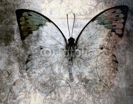 Naklejki butterfly