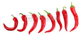 Naklejki Red hot chili peppers isolated on  white