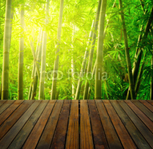 Fototapety bamboo forest with ray of lights and plank woods, suitable for p