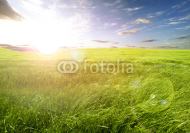 Fototapety Puesta de sol y campos de hierba