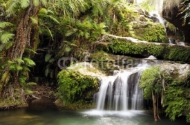 Naklejki Rainforest waterfall