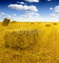 Fototapety Hay bales in a field