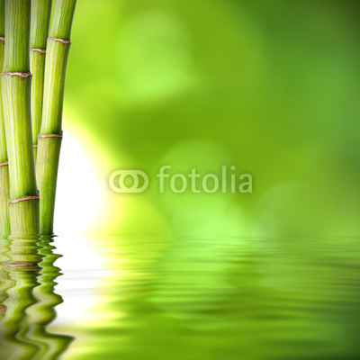 troncos de bambú verde sobre el agua