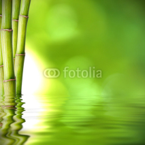 Naklejki troncos de bambú verde sobre el agua