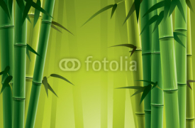 Naklejki Bamboo Grove