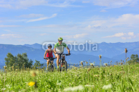 Naklejki Zwei Mountainbiker