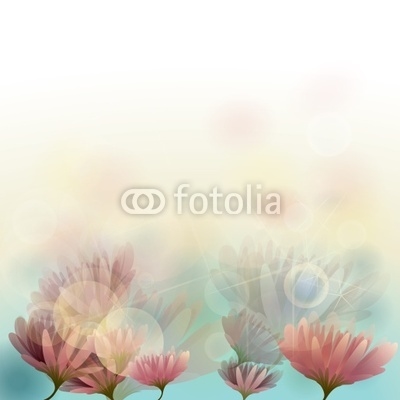 Water lily / Floral background