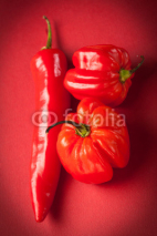 Fototapety Selection of red chile's