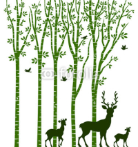 Naklejki Birch Tree with Deer