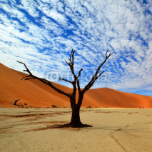 Fototapety Namib desert,Namibia