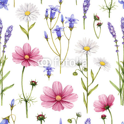 Wild flowers illustration. Watercolor seamless pattern