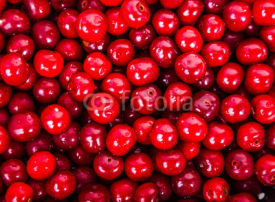 Naklejki juicy red cherries