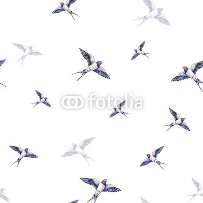 Beautiful swallow on a white background. Watercolor illustration. Spring bird brings love. Handwork. Seamless pattern